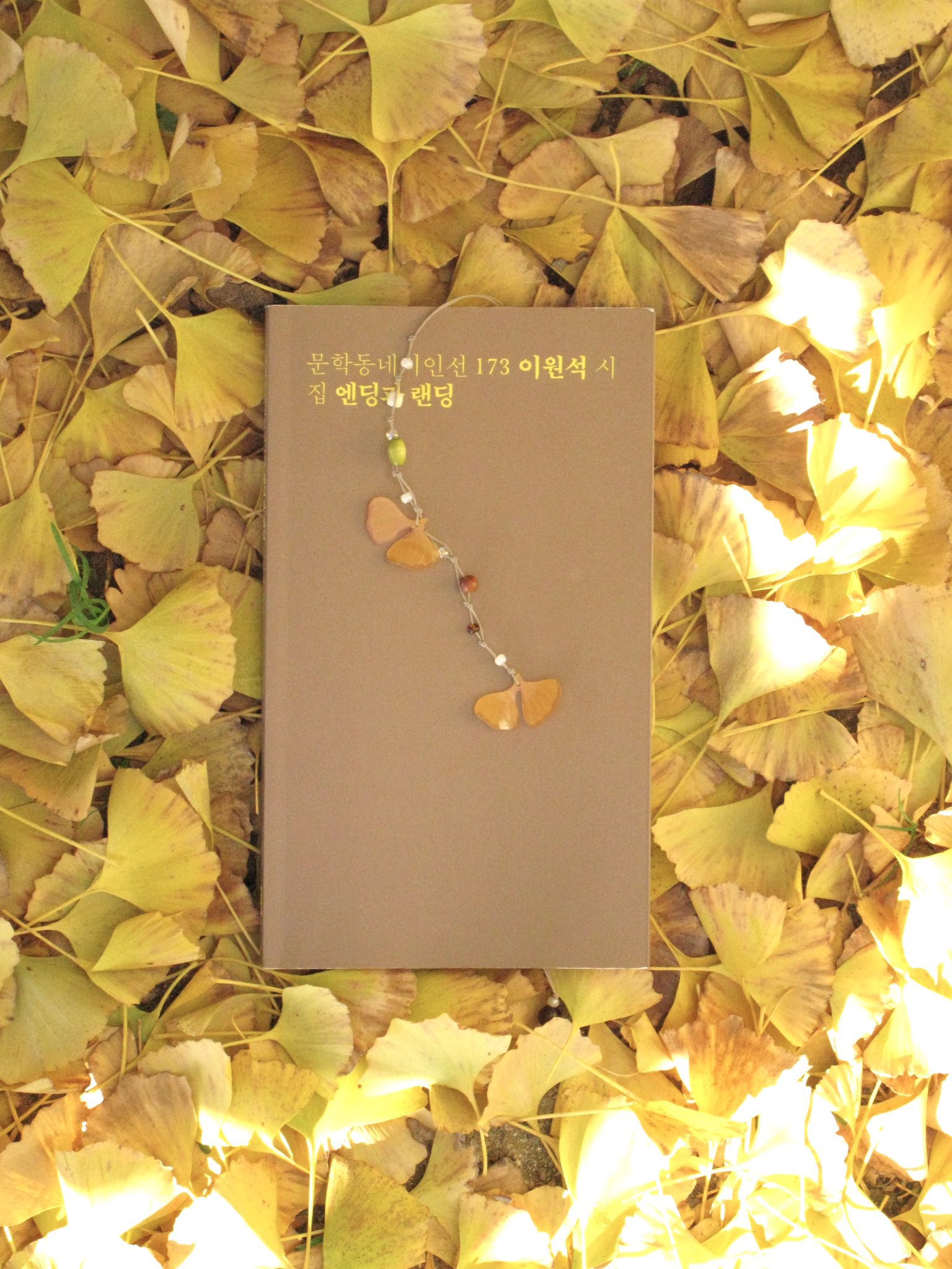 연록 이미지_4.jpg